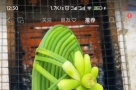 我的音乐
