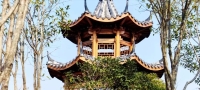 梅川饶为市村又新建了一座公园