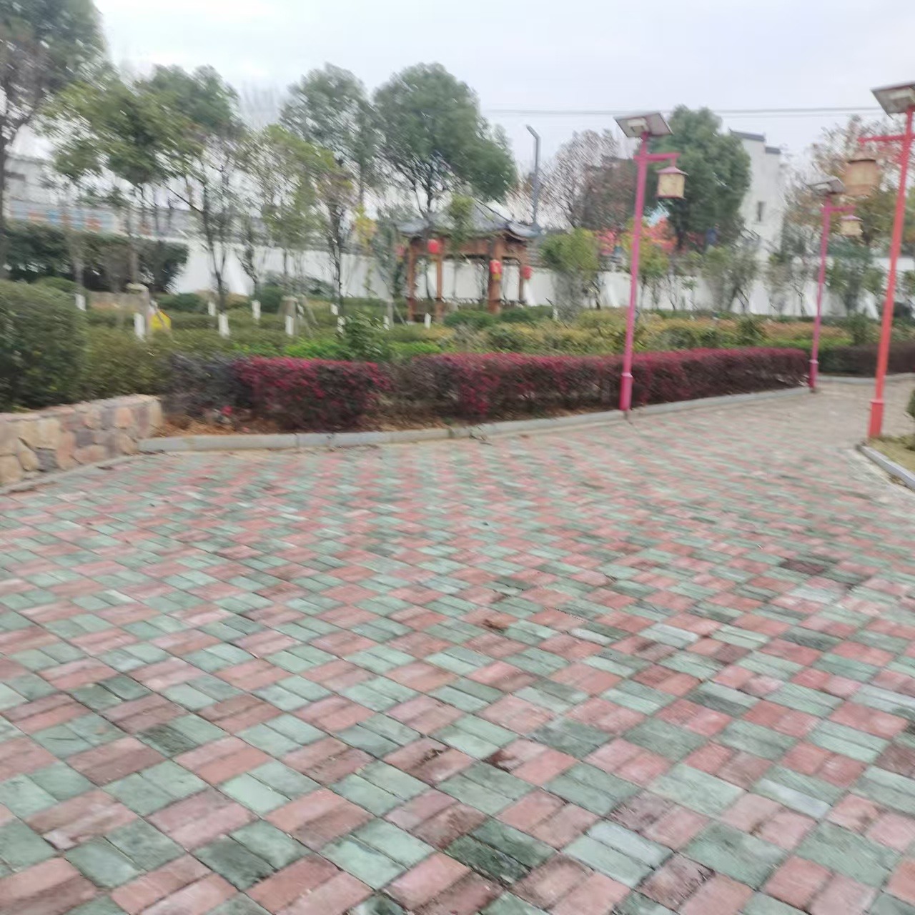 mmexport1733716385321.jpg