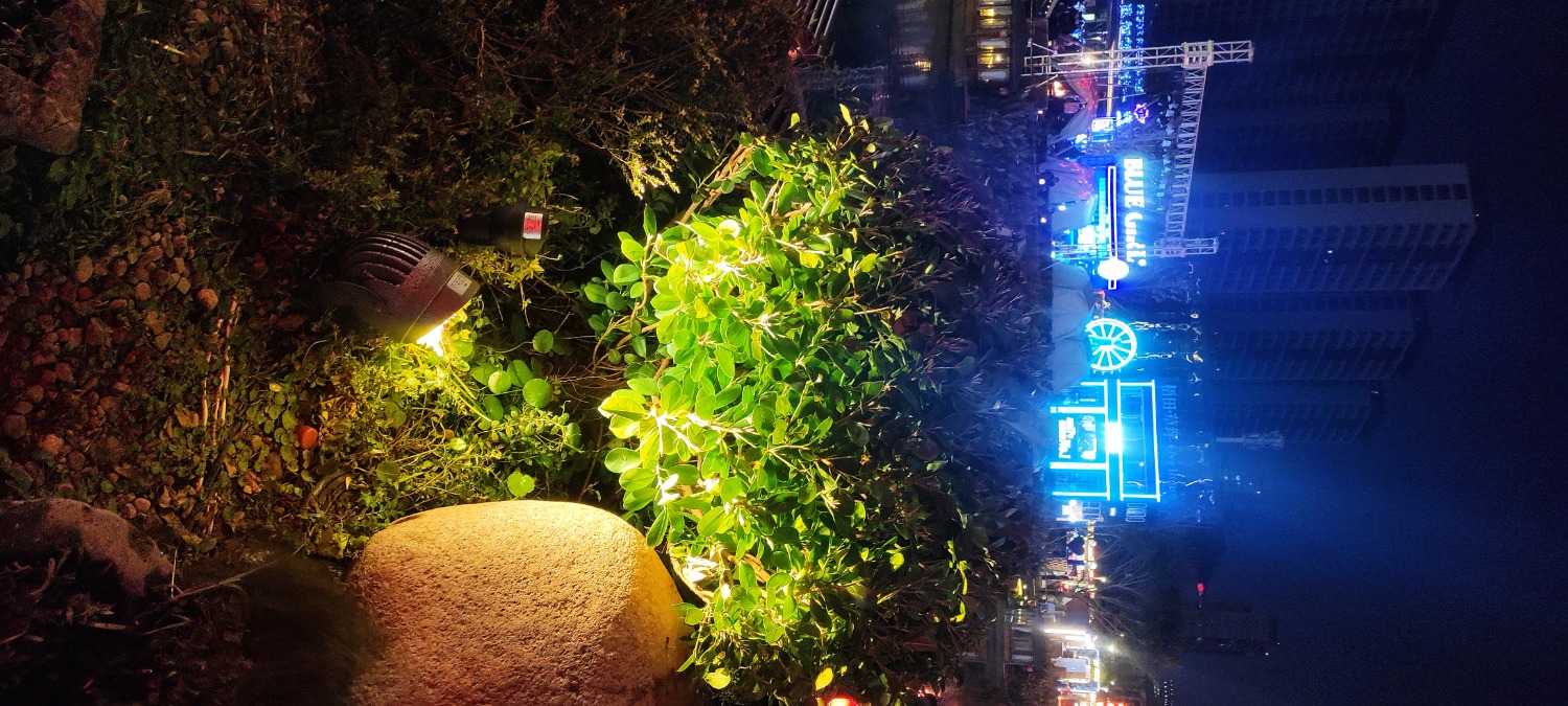 MVIMG_20241222_185849.jpg