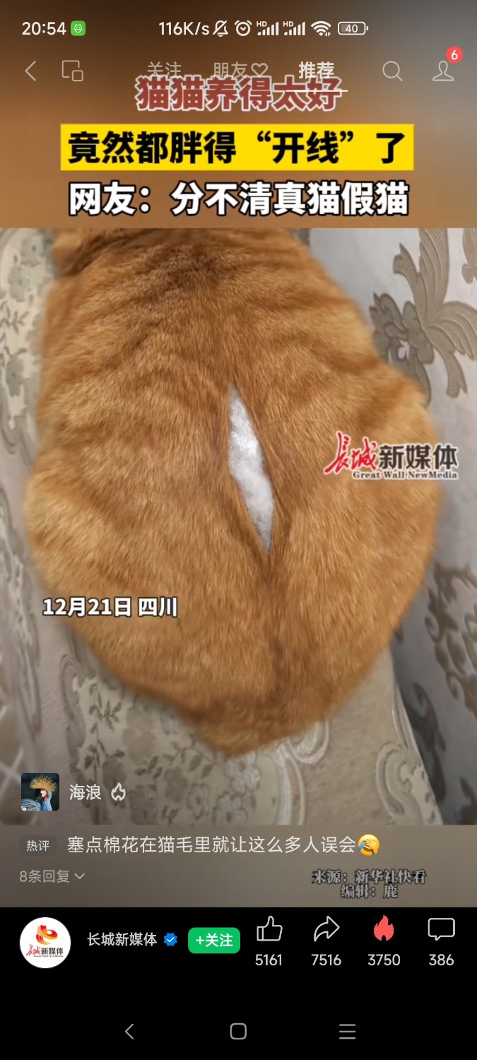 Screenshot_2024-12-23-20-54-19-311_com.tencent.mm.jpg