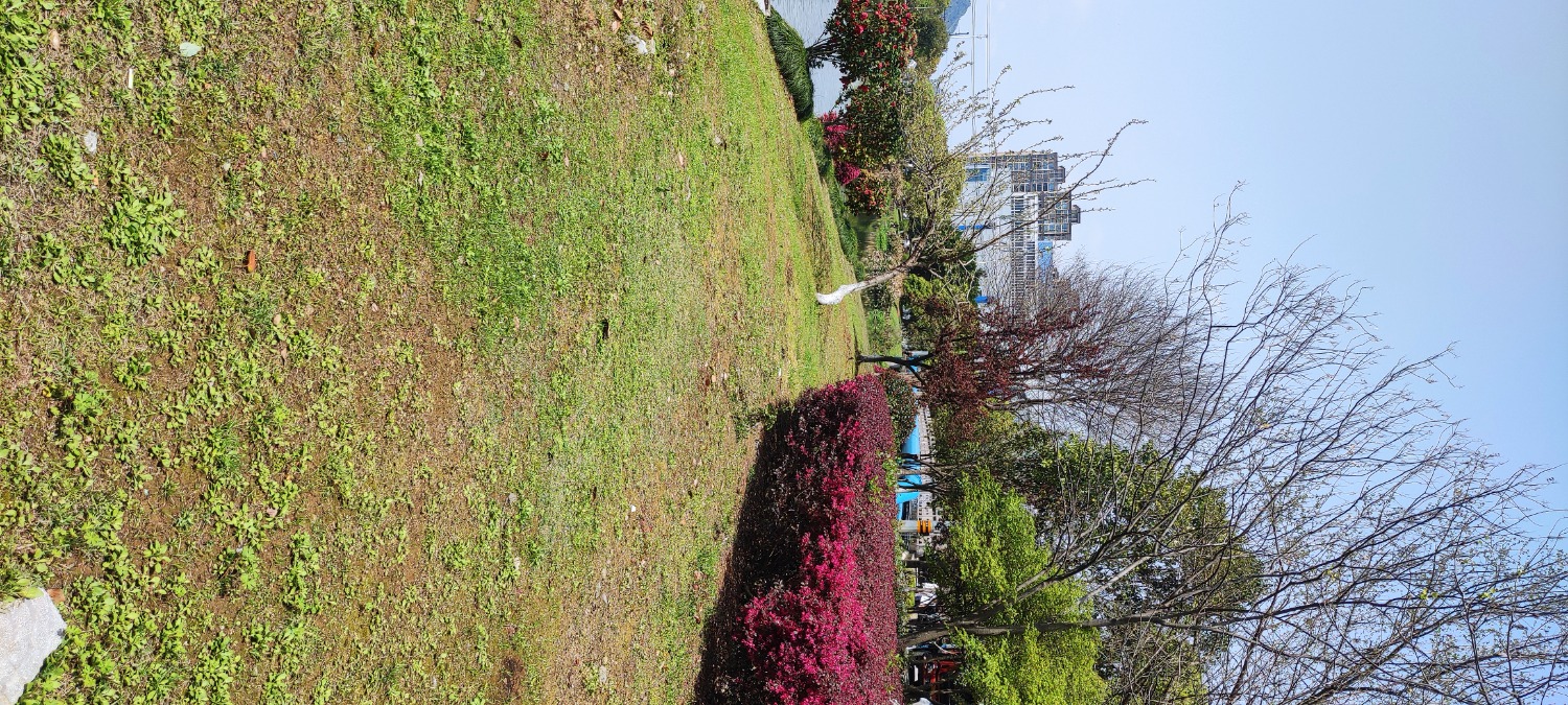 IMG_20250401_122250.jpg