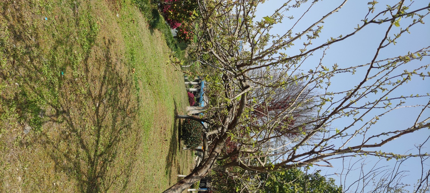 IMG_20250401_122250.jpg